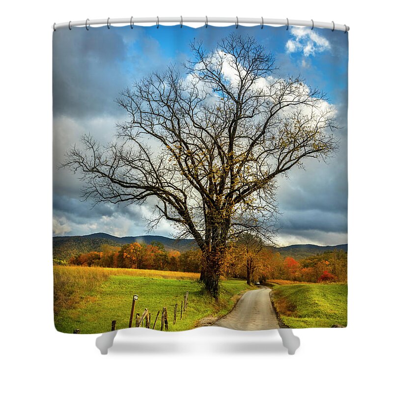 Appalachia Shower Curtain featuring the photograph Country Road into Autumn by Debra and Dave Vanderlaan
