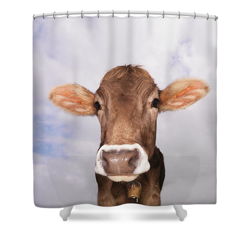 Animal Themes Shower Curtain featuring the photograph Cow Standing In Field, Close-up by Mecky