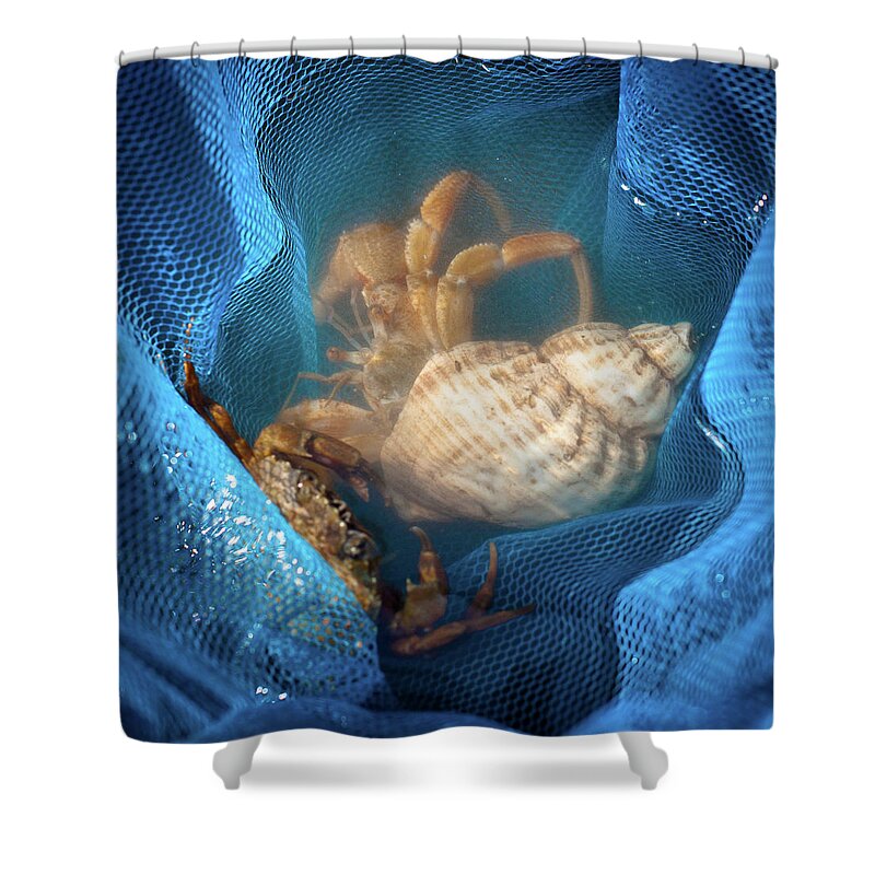 Crabs And Shells In A Blue Fishing Net Shower Curtain by Judith
