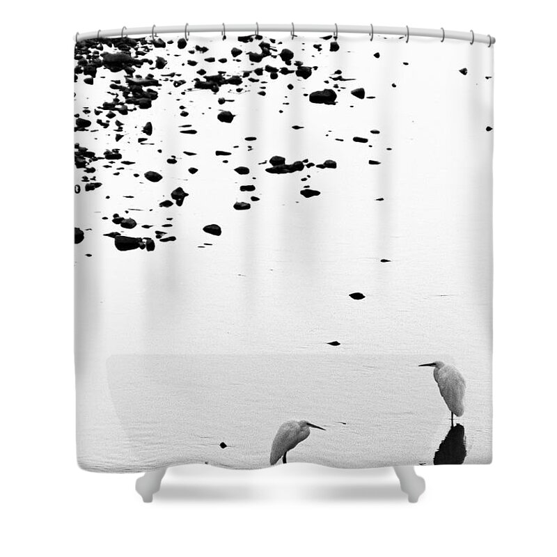 Animal Themes Shower Curtain featuring the photograph Cranes by Björn Neumann
