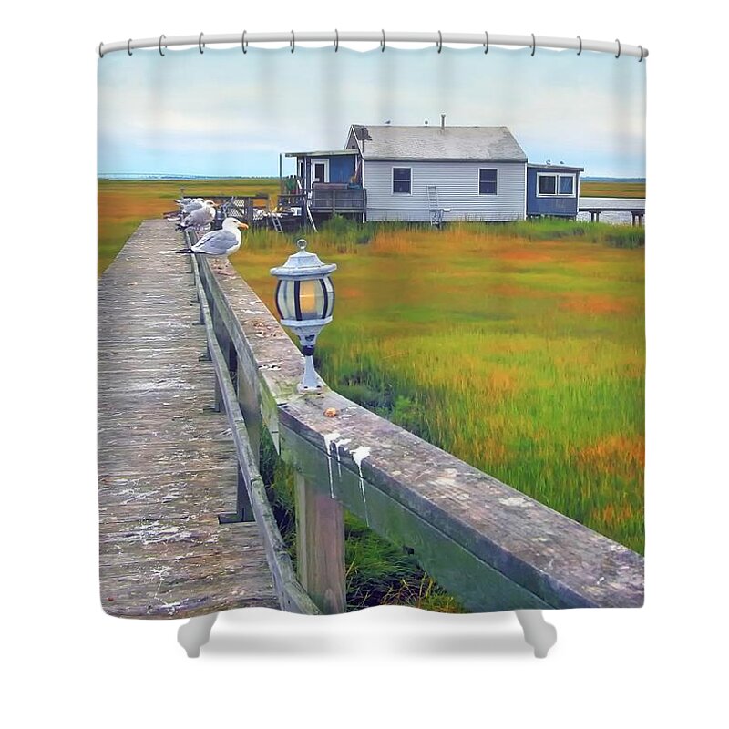 Houses Shower Curtain featuring the photograph Crappy Neighbors by Geoff Crego