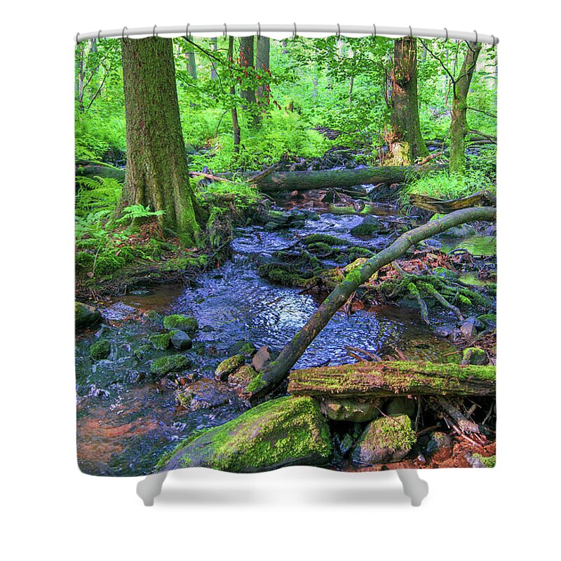 Forest Shower Curtain featuring the photograph Creek in a forest in Vogelsberg by Sun Travels