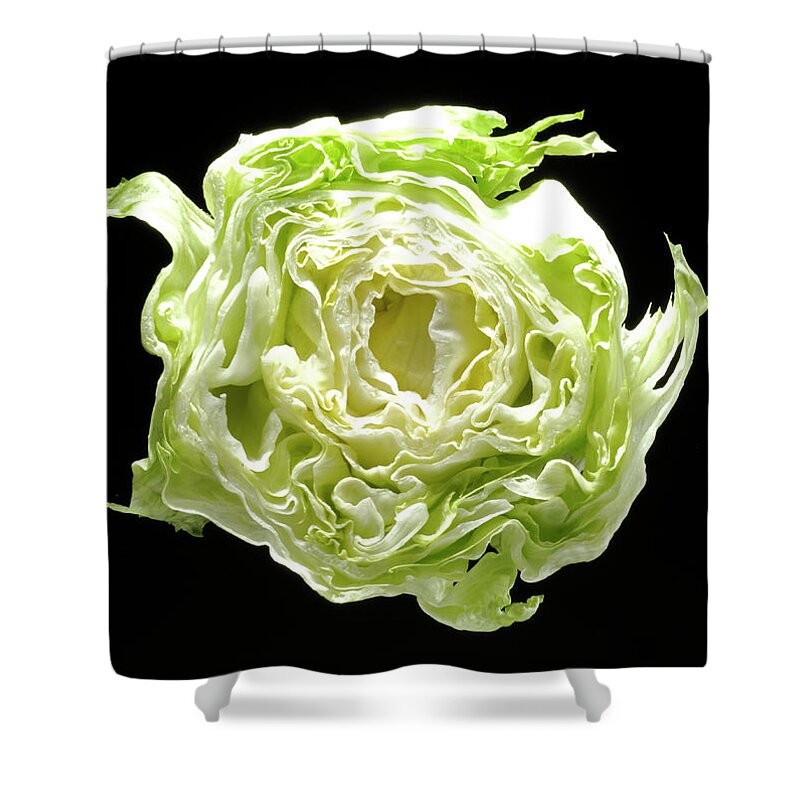 Black Background Shower Curtain featuring the photograph Cross Section Of Iceberg Lettuce, Black by Nicholas Eveleigh