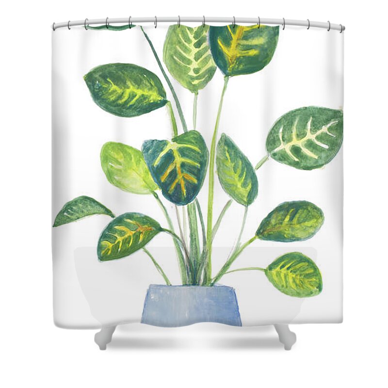 Croton Shower Curtains
