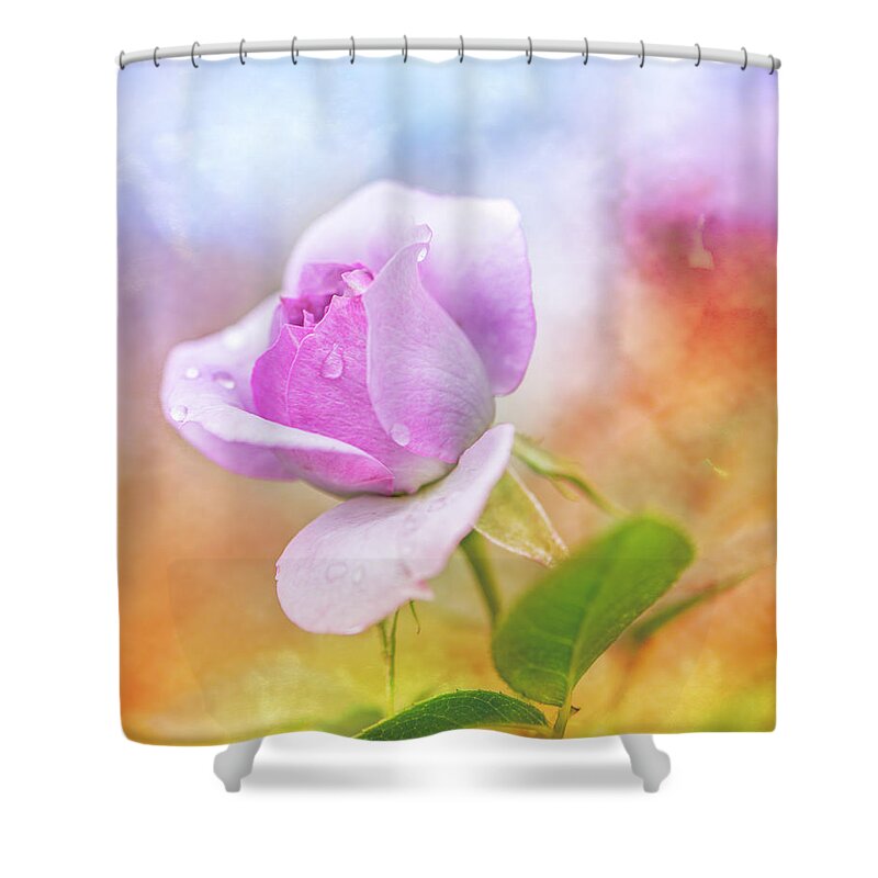 Flower Shower Curtain featuring the photograph Crying Rose by Jennifer Grossnickle