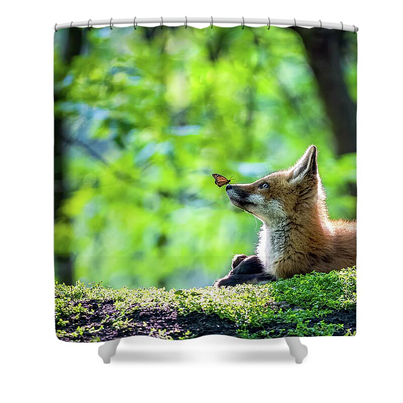 Fox Shower Curtain featuring the photograph Curious Creatures by James Overesch