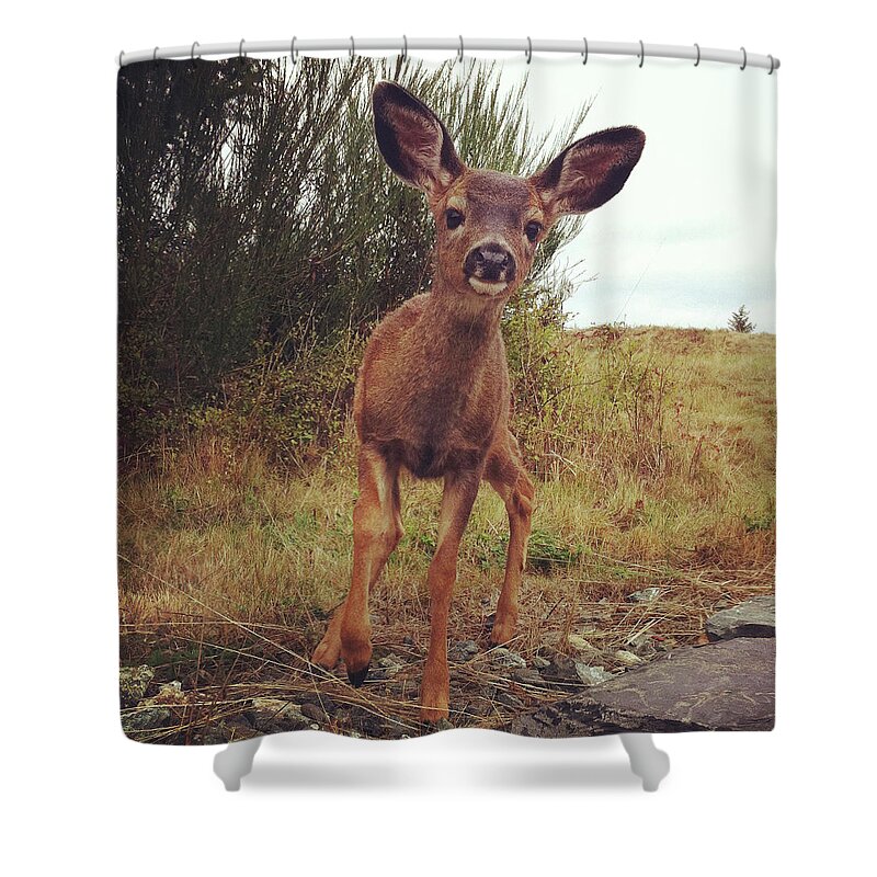 Fawn Shower Curtain featuring the photograph Curious Deer by Kevinruss