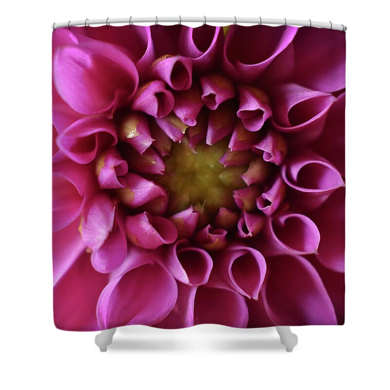 Flower Shower Curtain featuring the photograph Curled Up by Michelle Wermuth