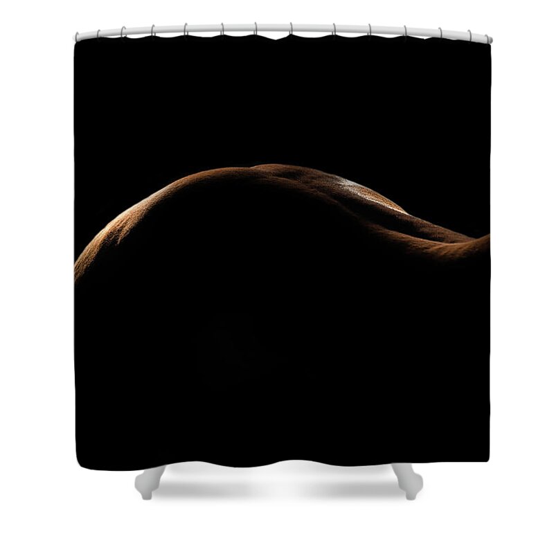 Horse Shower Curtain featuring the photograph Curves by Ryan Courson