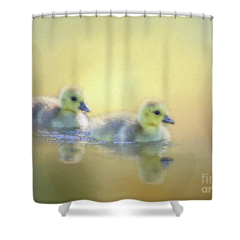 Canada Goose Goslings Shower Curtain featuring the mixed media Cute Little Swimmers by Eva Lechner