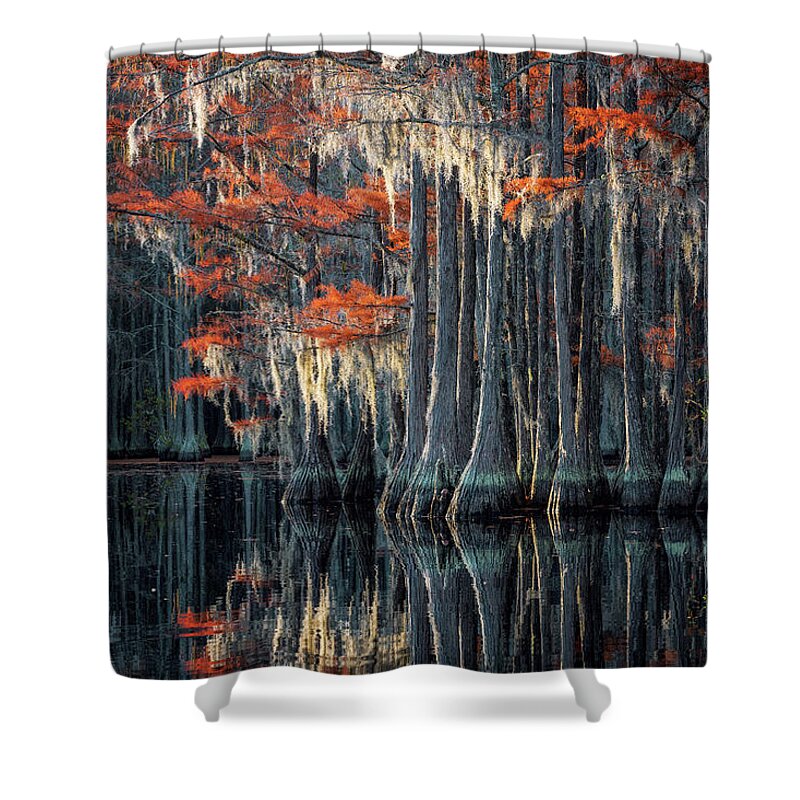 Abstract Shower Curtain featuring the photograph Cypress and Spanish Moss by Alex Mironyuk