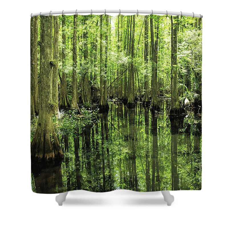 Cypress Swamp Reflections Shower Curtain featuring the photograph Cypress Swamp Reflections by Felix Lai