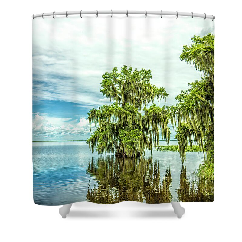 Cypress Trees Shower Curtain featuring the photograph Cypress Trees, Tell Us The Mystery Of Your Soul by Felix Lai