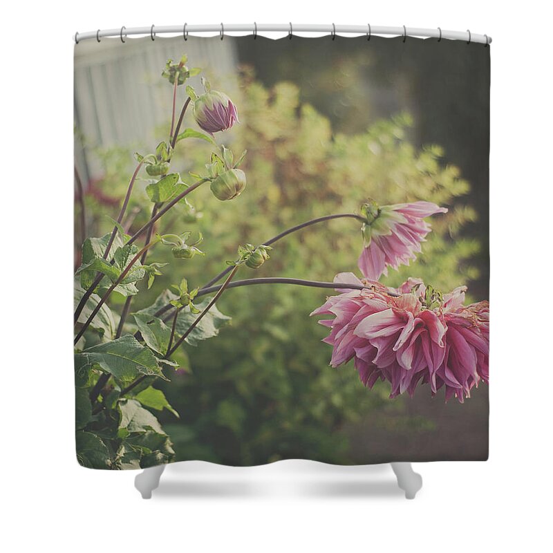 Outdoors Shower Curtain featuring the photograph Dahlia Flowers by Suzanne Marshall