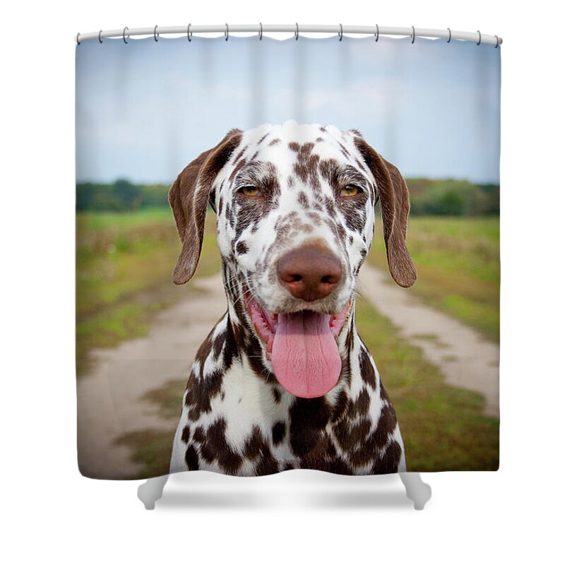 Pets Shower Curtain featuring the photograph Dalmatian by Carsten Schoenijahn Photography