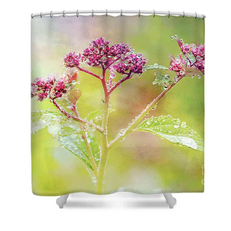 Water Droplets Shower Curtain featuring the photograph Dance of the Droplets by Anita Pollak