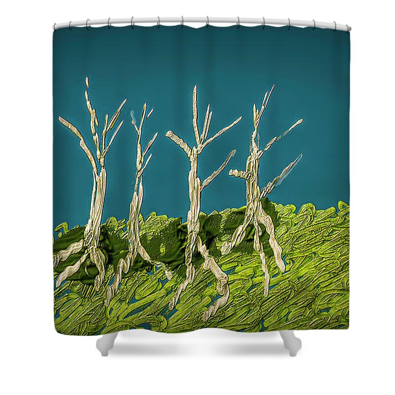 Dancing Shower Curtain featuring the digital art Dancing #i3 by Leif Sohlman