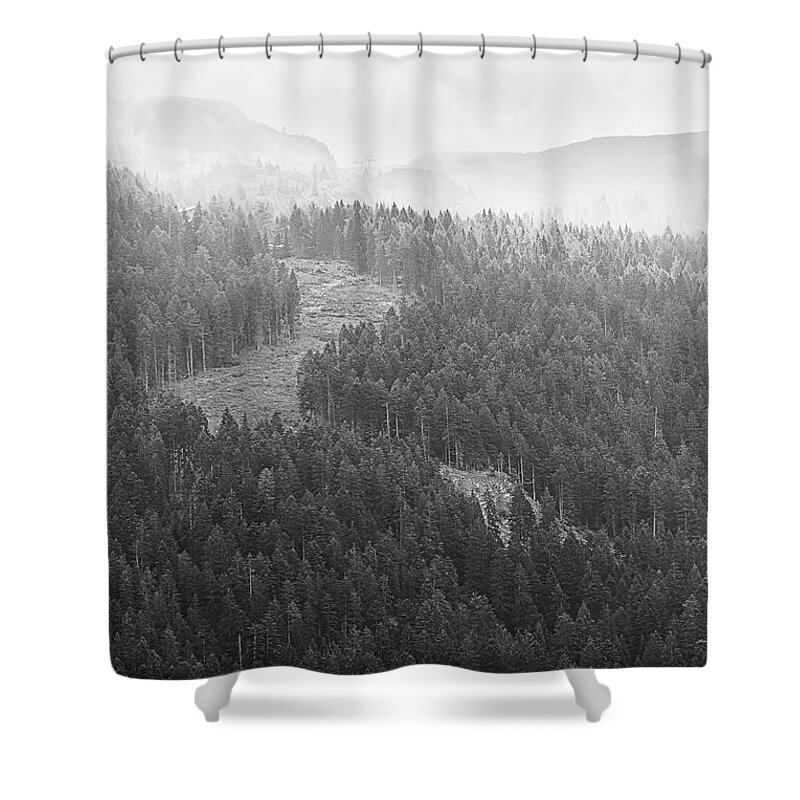 Tree Shower Curtain featuring the photograph Dawn in the mountains by The P
