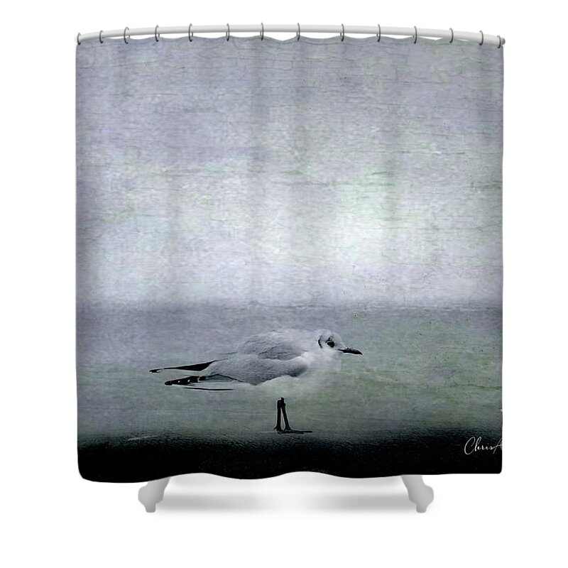 One Shower Curtain featuring the photograph Dawn on the Coast by Chris Armytage