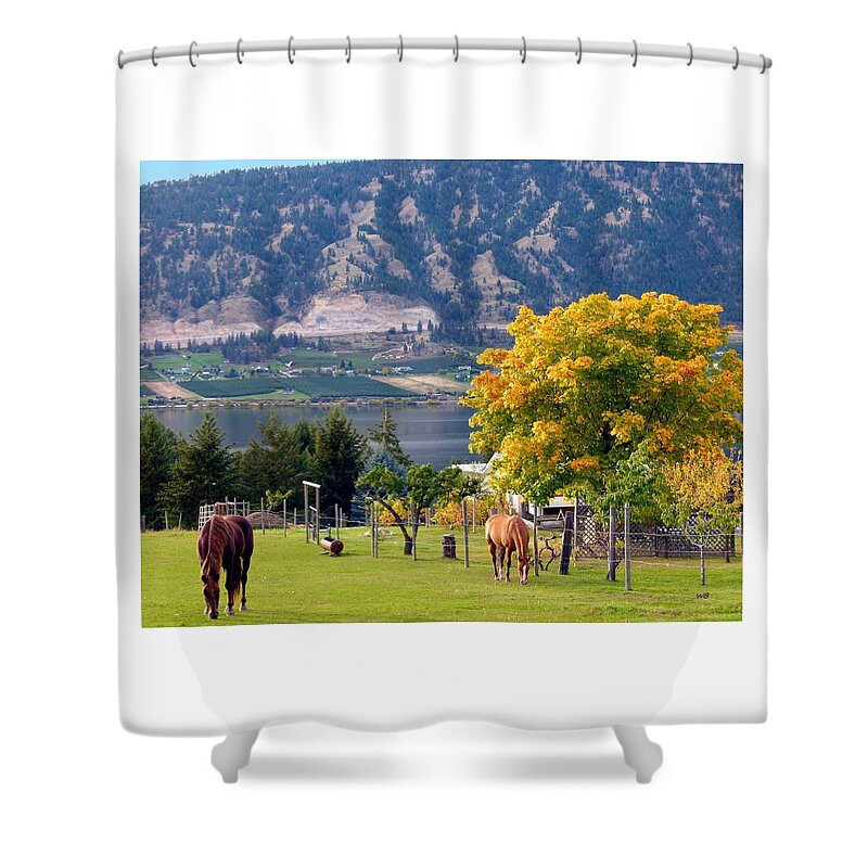 Horses Shower Curtain featuring the photograph Days Of Autumn 25 by Will Borden