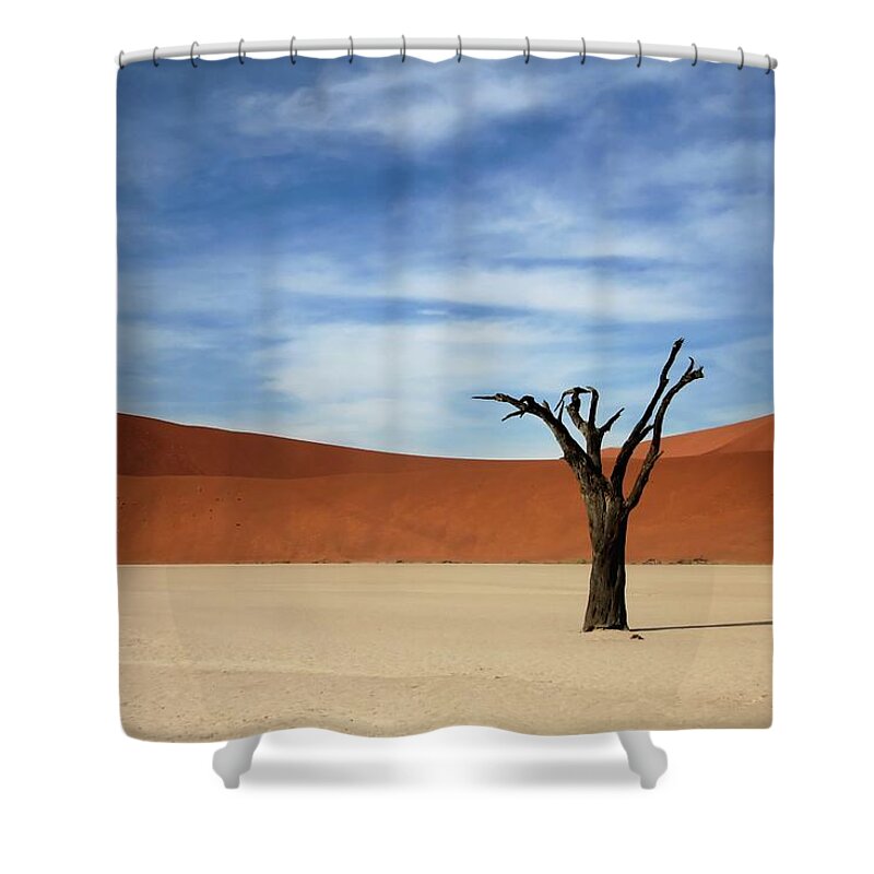 Scenics Shower Curtain featuring the photograph Dead Acacia Tree by A Rey