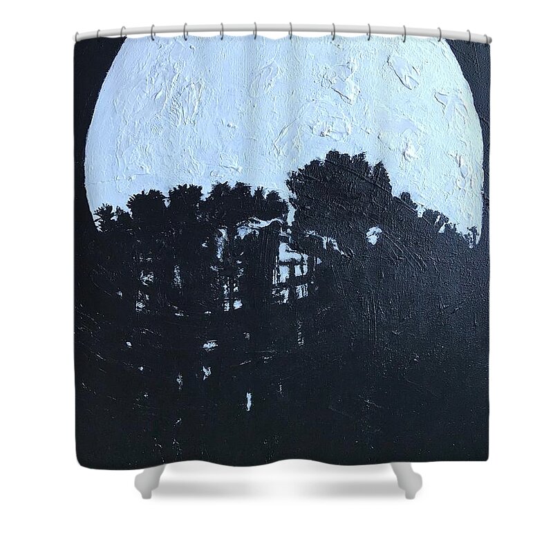Moon Shower Curtain featuring the painting December 21st by Medge Jaspan
