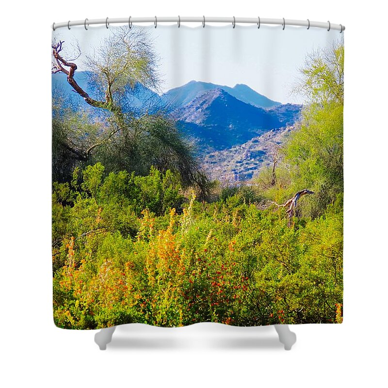 Arizona Shower Curtain featuring the photograph Deep Desert Valley in a Sonoran Desert Spring by Judy Kennedy