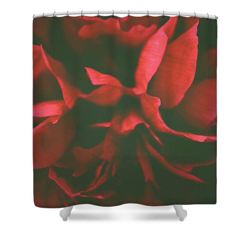 Red Shower Curtain featuring the photograph Deep Red by Michelle Wermuth