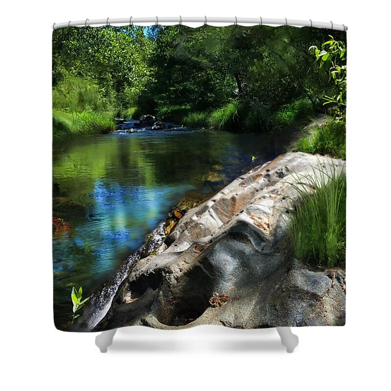 Stream Shower Curtain featuring the digital art Deer Creek off Newtown Road by Lisa Redfern