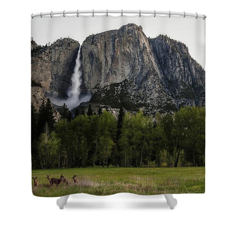 Animal Themes Shower Curtain featuring the photograph Deer In Front Of Upper Yosemite Falls by Photograph By Tony Van Le