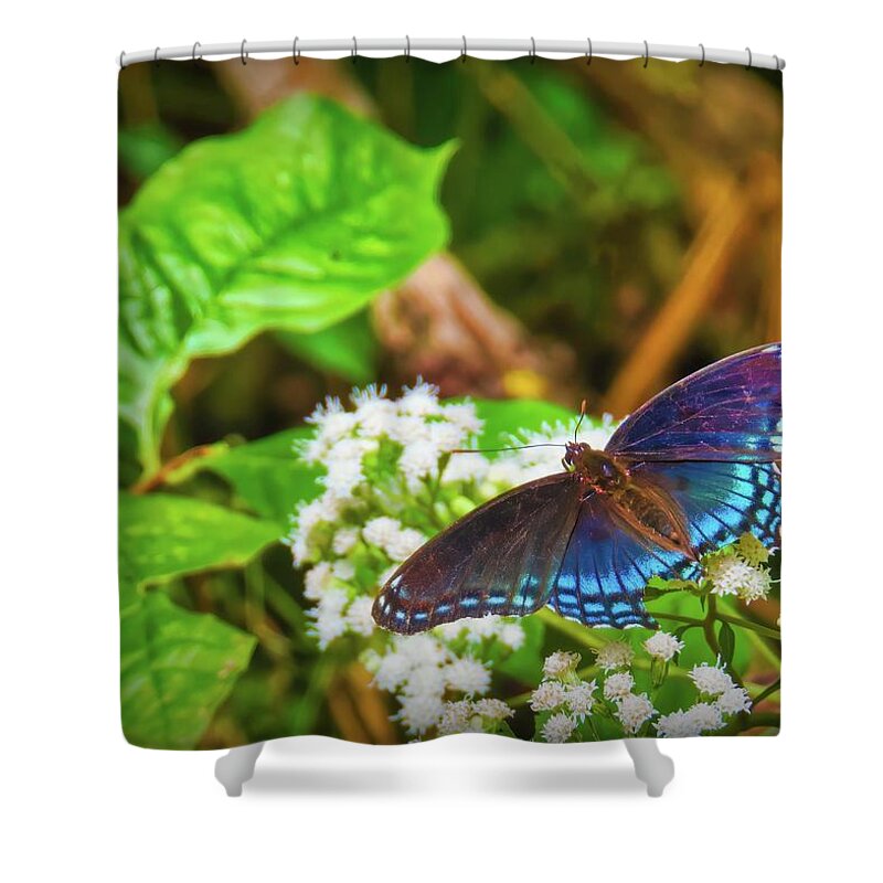  Shower Curtain featuring the photograph Delicate Side of Nature by Jack Wilson