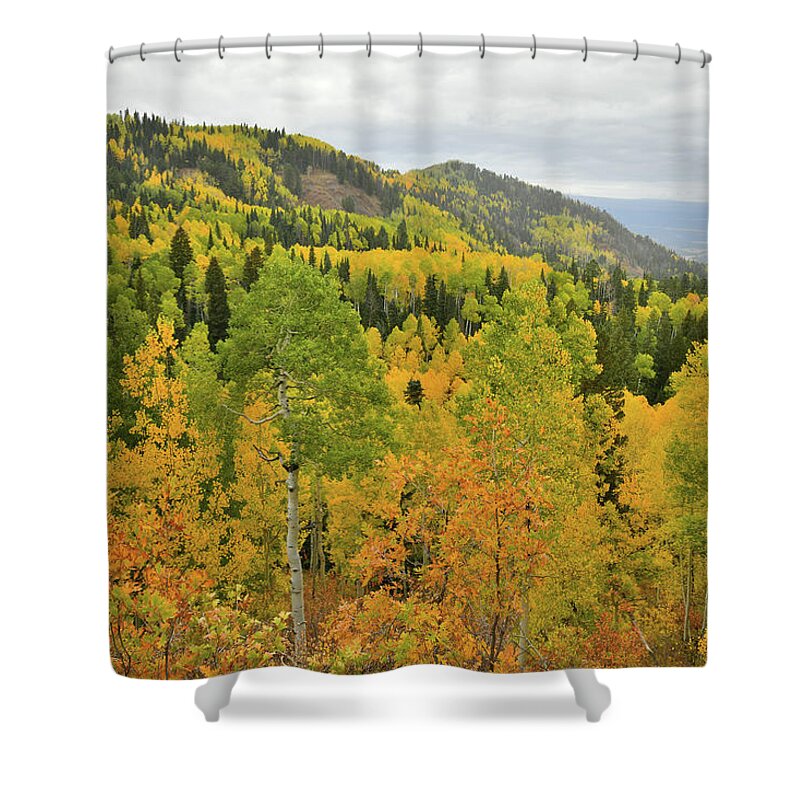 Owl Creek Pass Road Shower Curtain featuring the photograph Descending from Owl Creek Pass by Ray Mathis