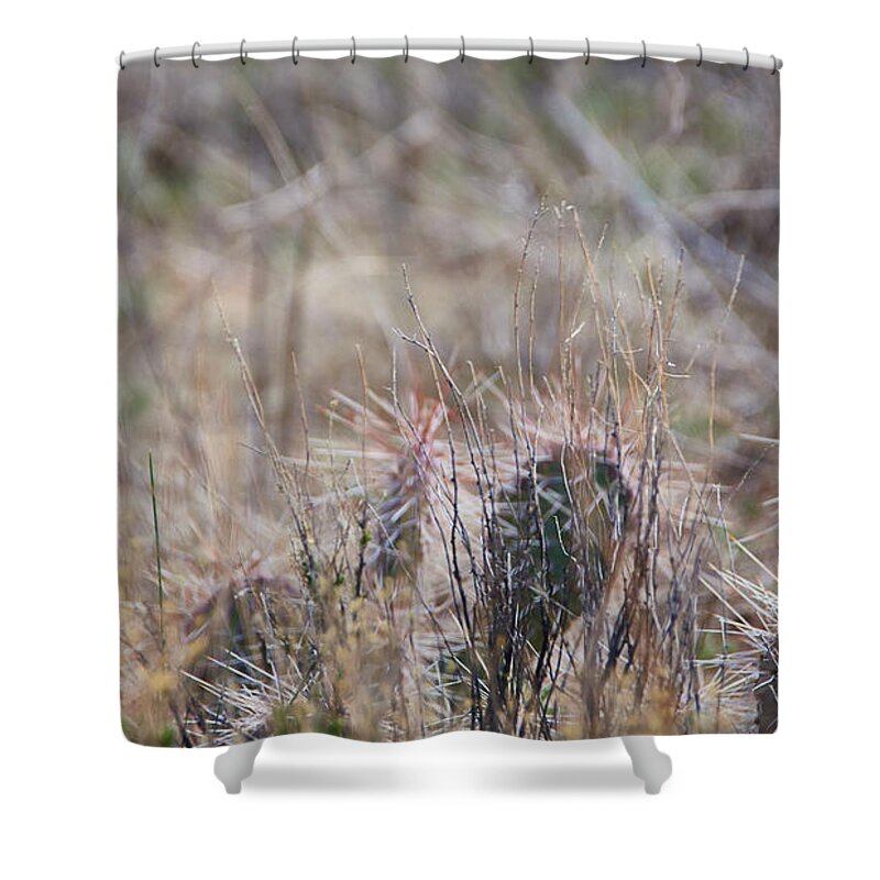 New Mexico Desert Shower Curtain featuring the photograph Desert Obscure by Robert WK Clark