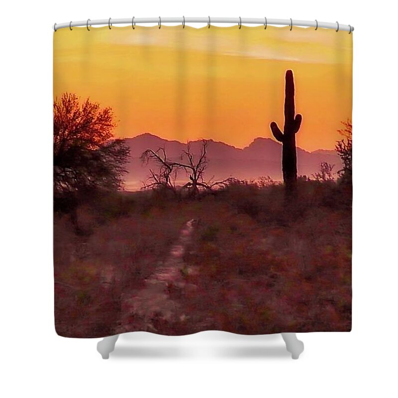 Affordable Shower Curtain featuring the photograph Desert Sunrise Trail by Judy Kennedy
