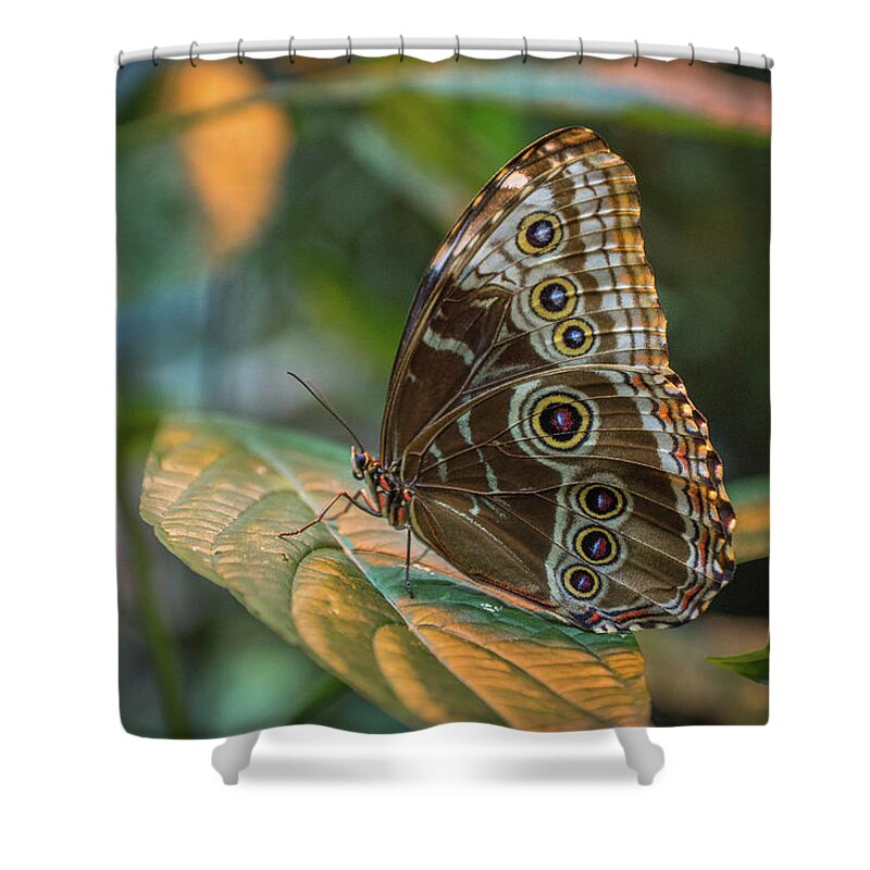 Bill Pevlor Shower Curtain featuring the photograph Designer Dots by Bill Pevlor