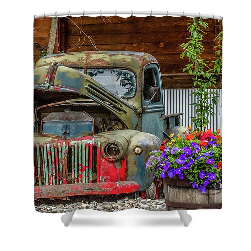 Antique Shower Curtain featuring the photograph Dilapidated in Denali by Marcy Wielfaert