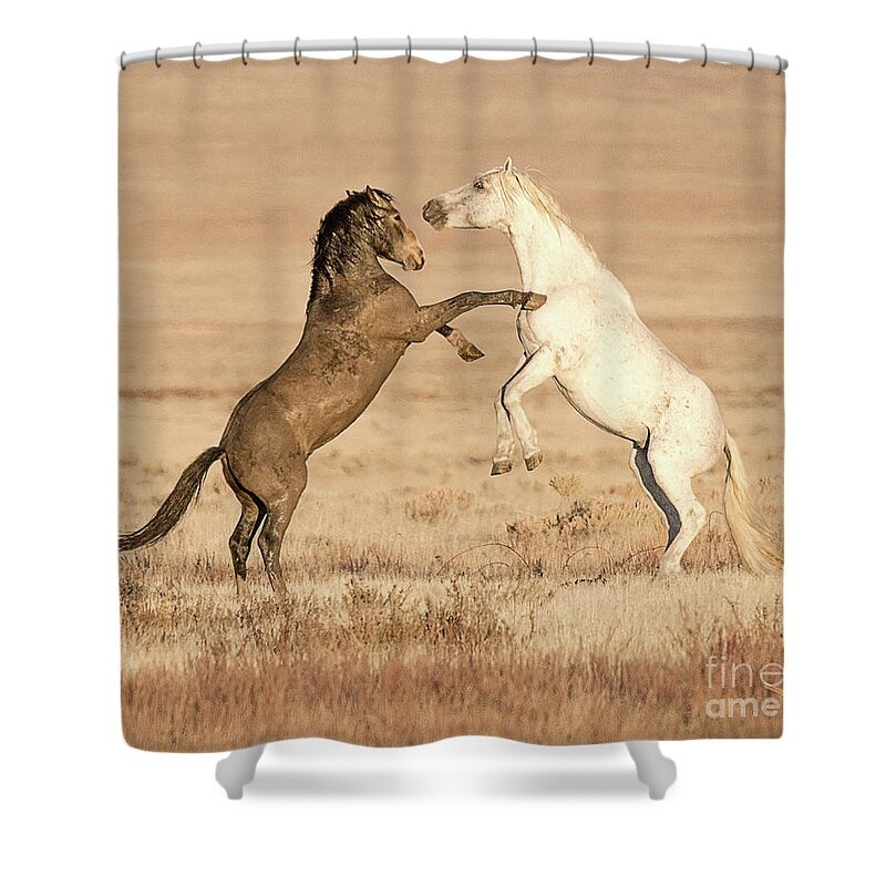Mammal Shower Curtain featuring the photograph Dispute in the Desert by Dennis Hammer