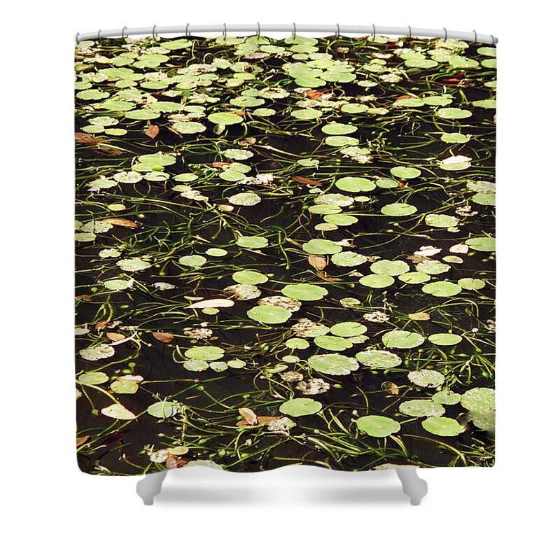 Landscape Shower Curtain featuring the photograph Dnrs1007 by Henry Butz