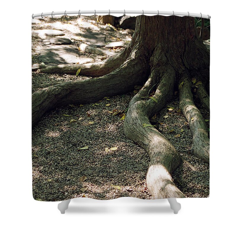 Landscape Shower Curtain featuring the photograph Dnrs1017 by Henry Butz