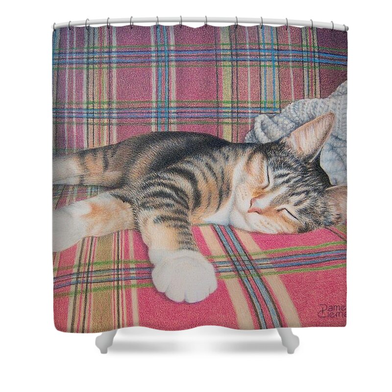 Cat Shower Curtain featuring the drawing Do Not Disturb by Pamela Clements