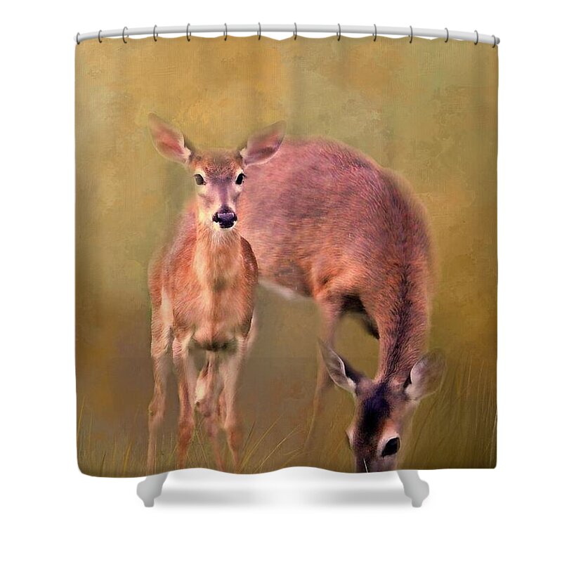 White Tailed Deer Shower Curtain featuring the photograph Doe Mom And Offspring by HH Photography of Florida