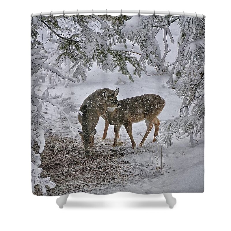Snow Shower Curtain featuring the photograph Does Winter Woes by Philip Kuntz, Nw Visions