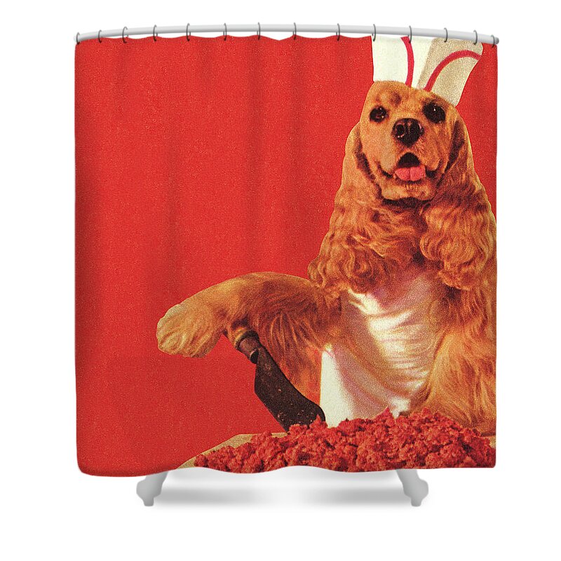 Accessories Shower Curtain featuring the drawing Dog Butcher Wearing Hat by CSA Images
