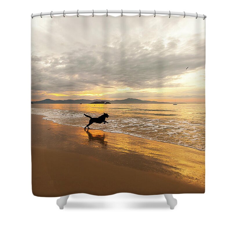 Scenics Shower Curtain featuring the photograph Dog Playing At Canasvieira Beach by E.hanazaki Photography