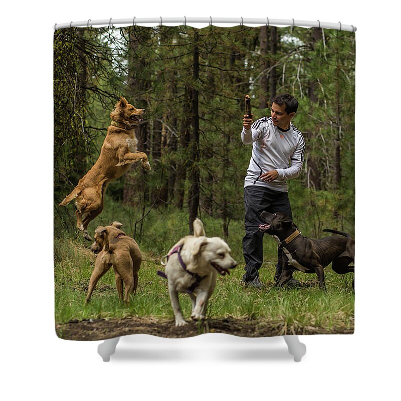 Dog Shower Curtain featuring the photograph Dogs playing by Julieta Belmont
