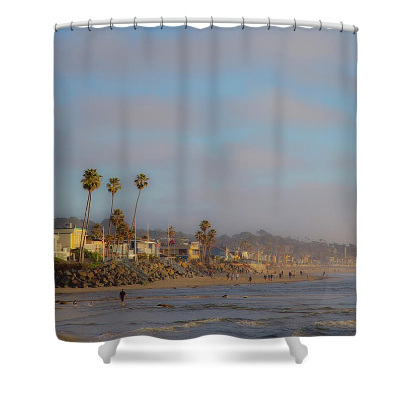 Dog Beach Shower Curtain featuring the photograph Dogs with their Best Friends by Catherine Walters