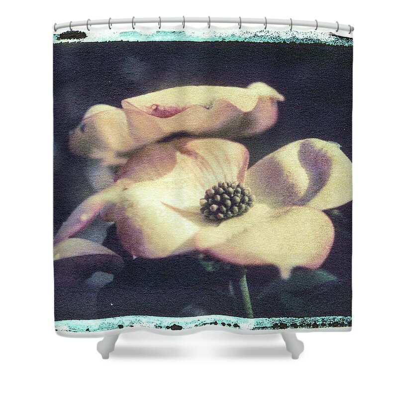 Abstract Shower Curtain featuring the photograph Dogwood 3 by Joye Ardyn Durham
