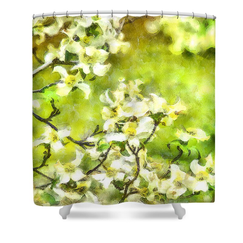 Dogwood Springtime Shower Curtain featuring the photograph Dogwood Springtime by Bellesouth Studio