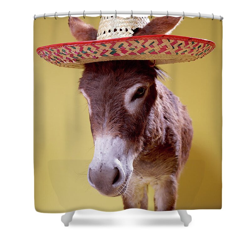 Straw Hat Shower Curtain featuring the photograph Donkey Equus Hemonius Wearing Straw Hat by Digital Vision