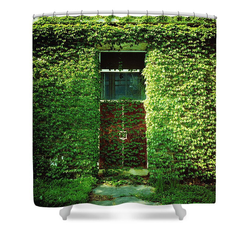 Hiding Shower Curtain featuring the photograph Doors Covered By Ivy by Silvia Otte